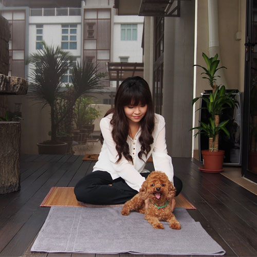 <strong>How is Reiki offered to pets?</strong>